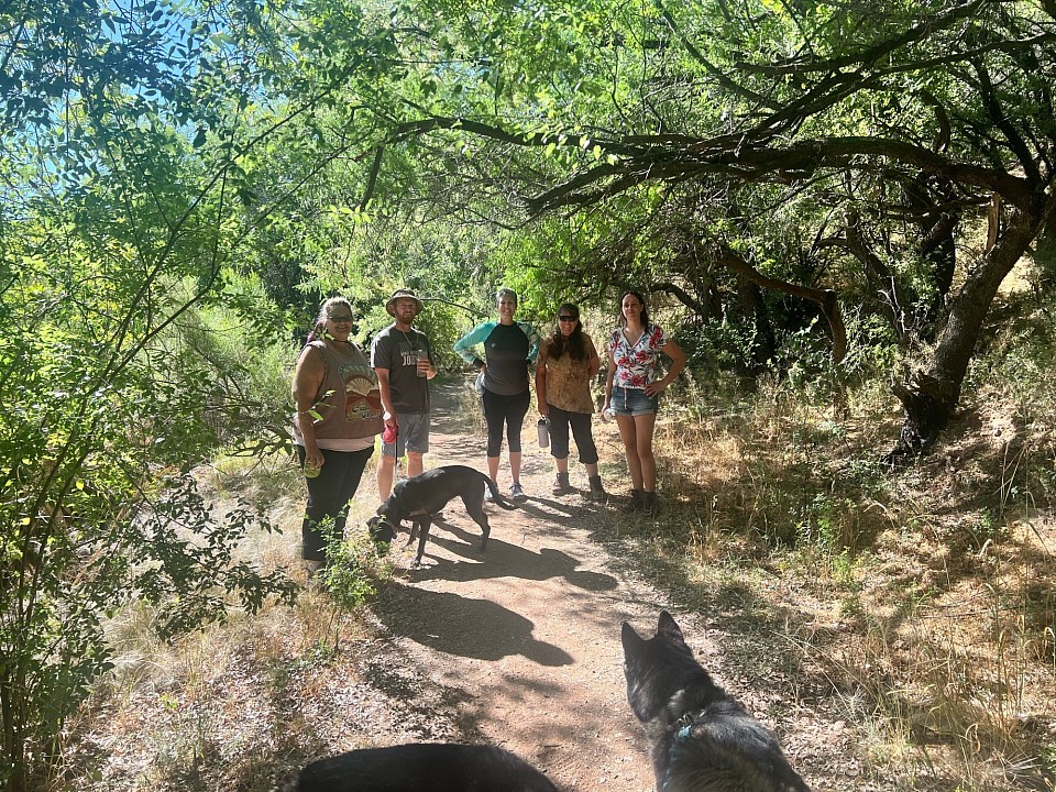 Camping and Hiking